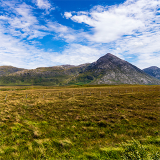 Connemara and Galway City Tour image